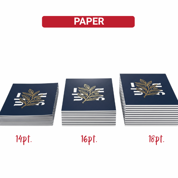 Standard Business Cards 2