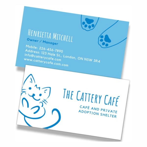 Offset Business Cards Offset business card featuring spot colors for precise branding consistency.
