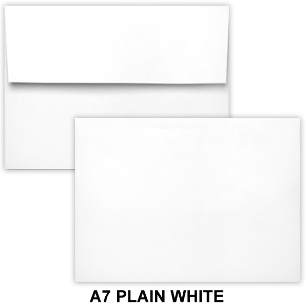 Plain Envelopes (No Printing) 8