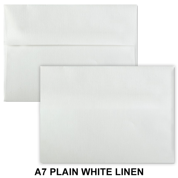 Plain Envelopes (No Printing) 7