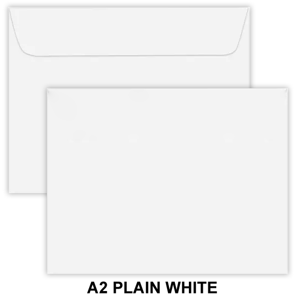 Plain Envelopes (No Printing) 3