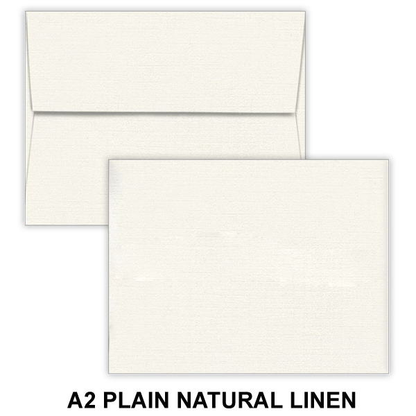 Plain Envelopes (No Printing) 1