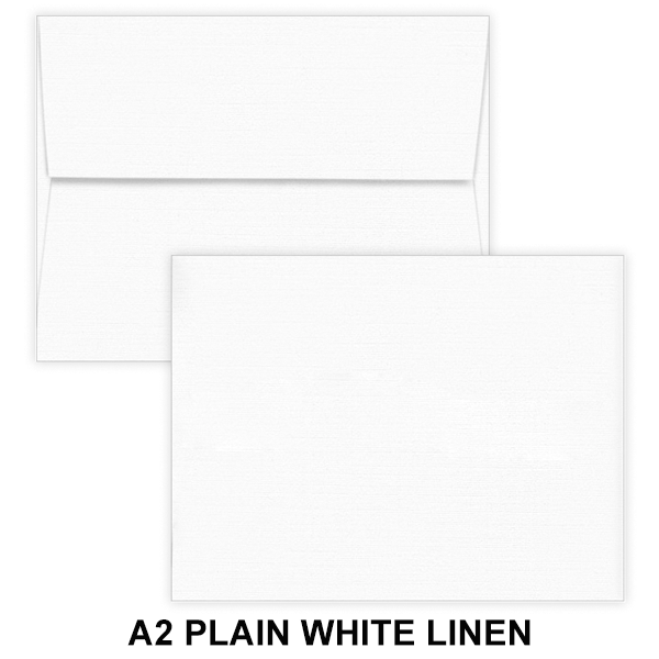 Plain Envelopes (No Printing) 2