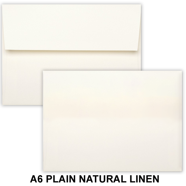Plain Envelopes (No Printing) 5