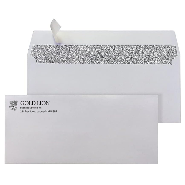 Personalized #10 envelopes featuring your unique business design