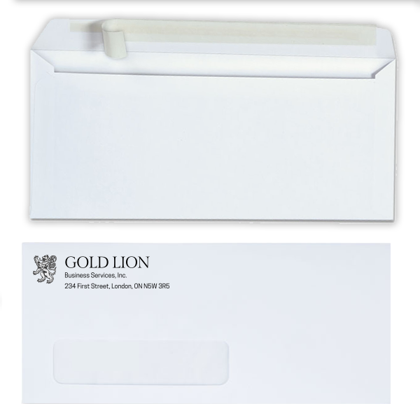 Customizable #10 envelopes with clean, professional designs