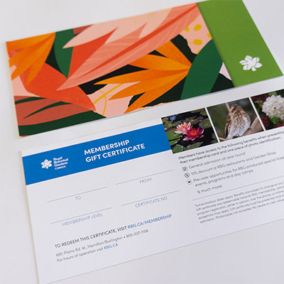 restaurant gift certificate example