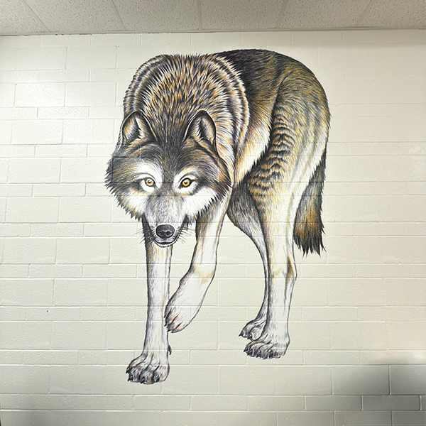 Wall murals