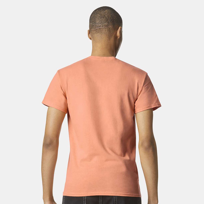 Back of Gildan Shirt
