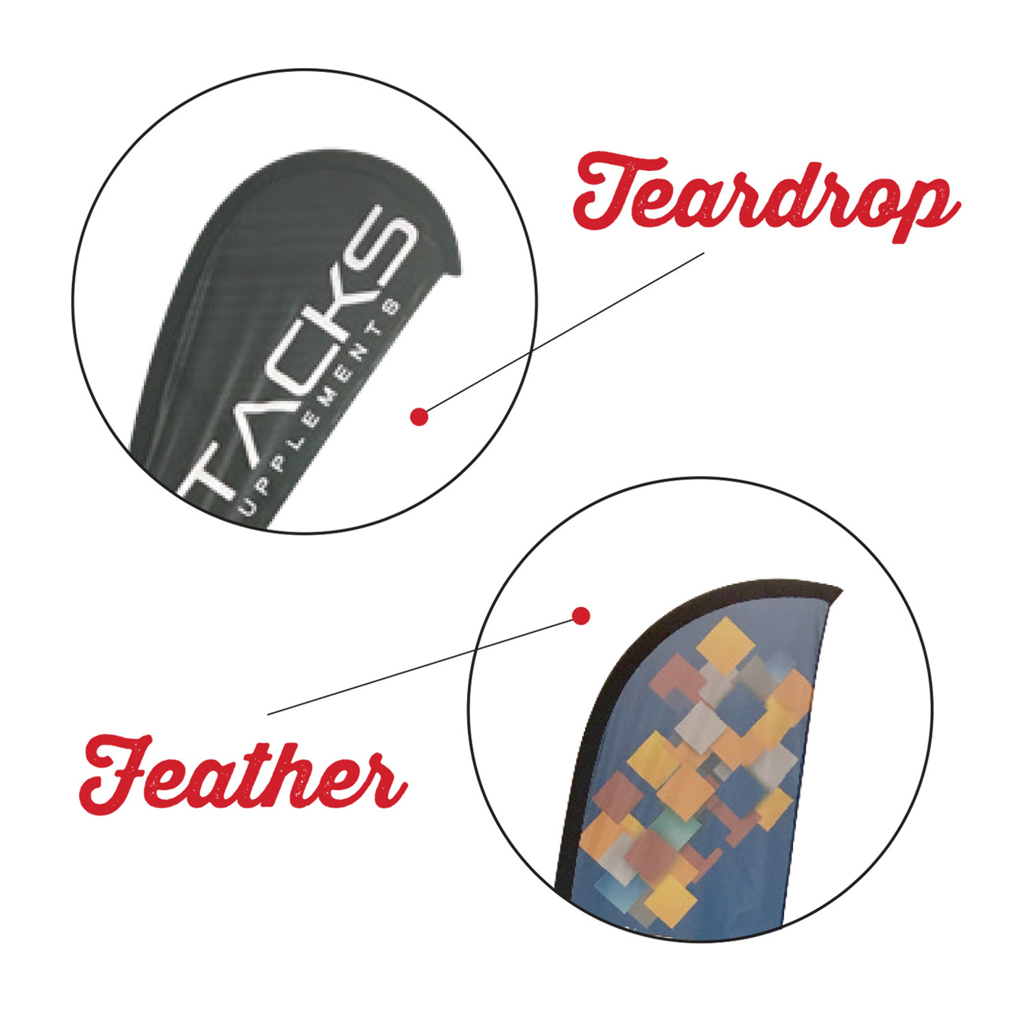 Feather and Teardrop Pic