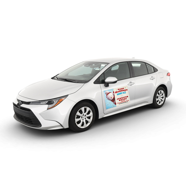Car magnets 1