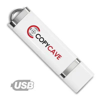 USB Flash Drive (8gb)