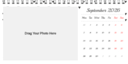 Minimalist Year in Review