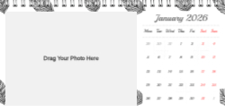 Minimalist Year in Review