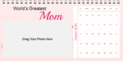 Best Mom Ever2