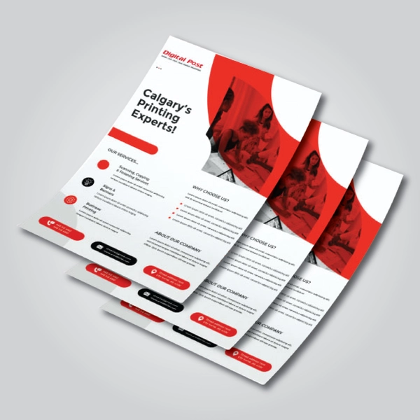 https://d241k1re3tsyhu.cloudfront.net/digitalpo/images/product/flyers-01.jpg