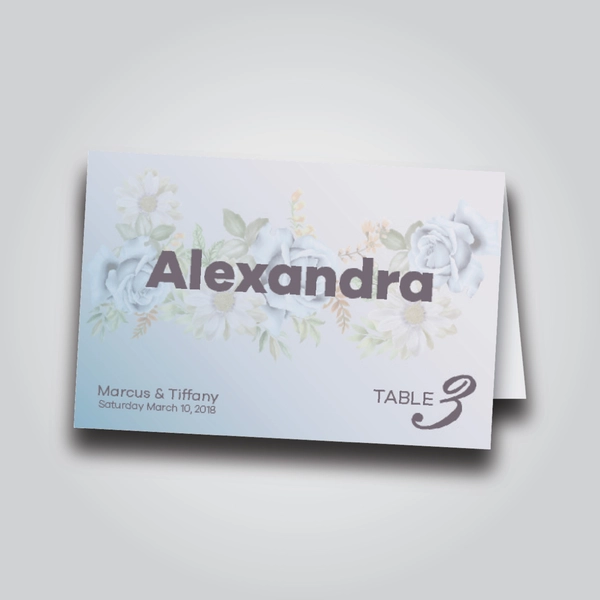 https://d241k1re3tsyhu.cloudfront.net/digitalpo/images/product/place_card-01.jpg