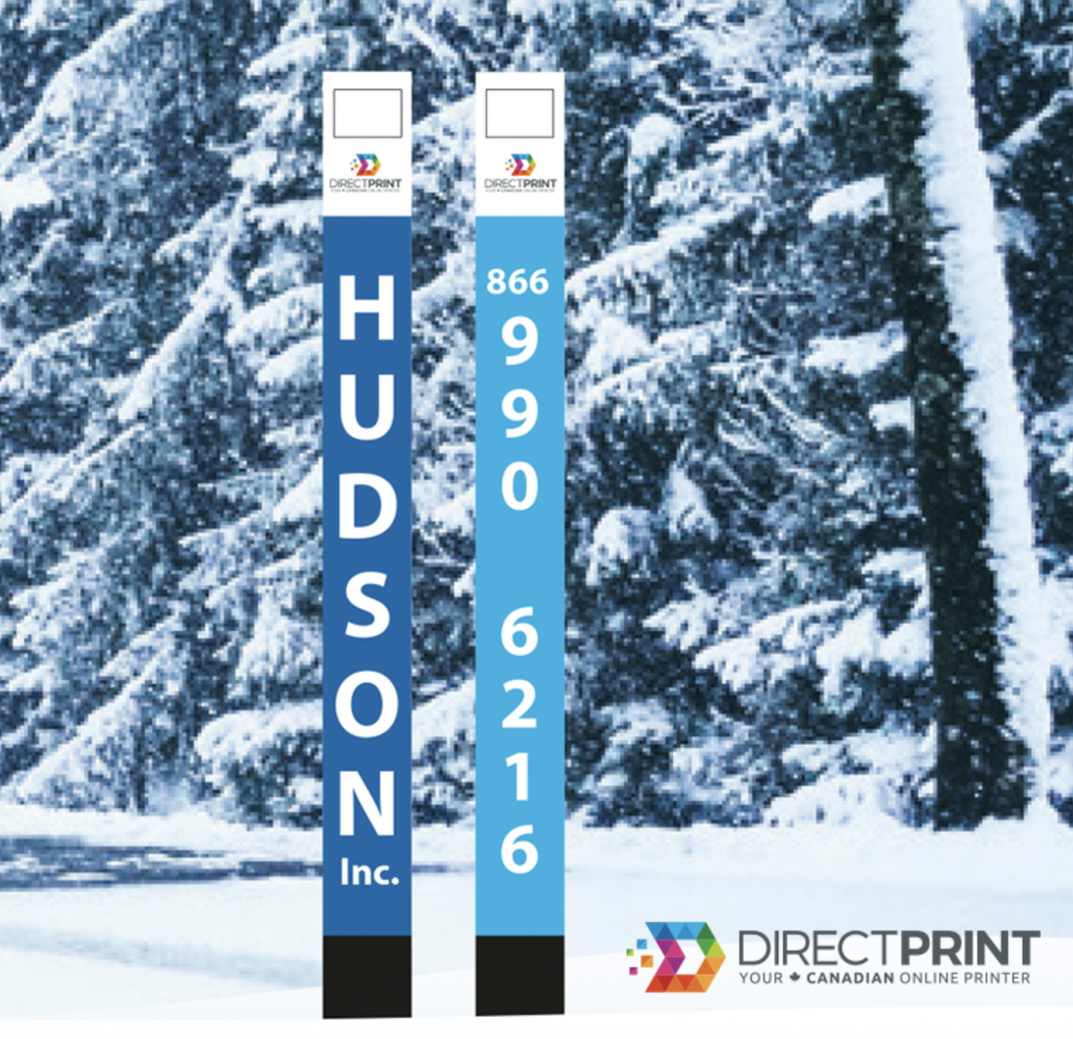 Snow driveway markers 1