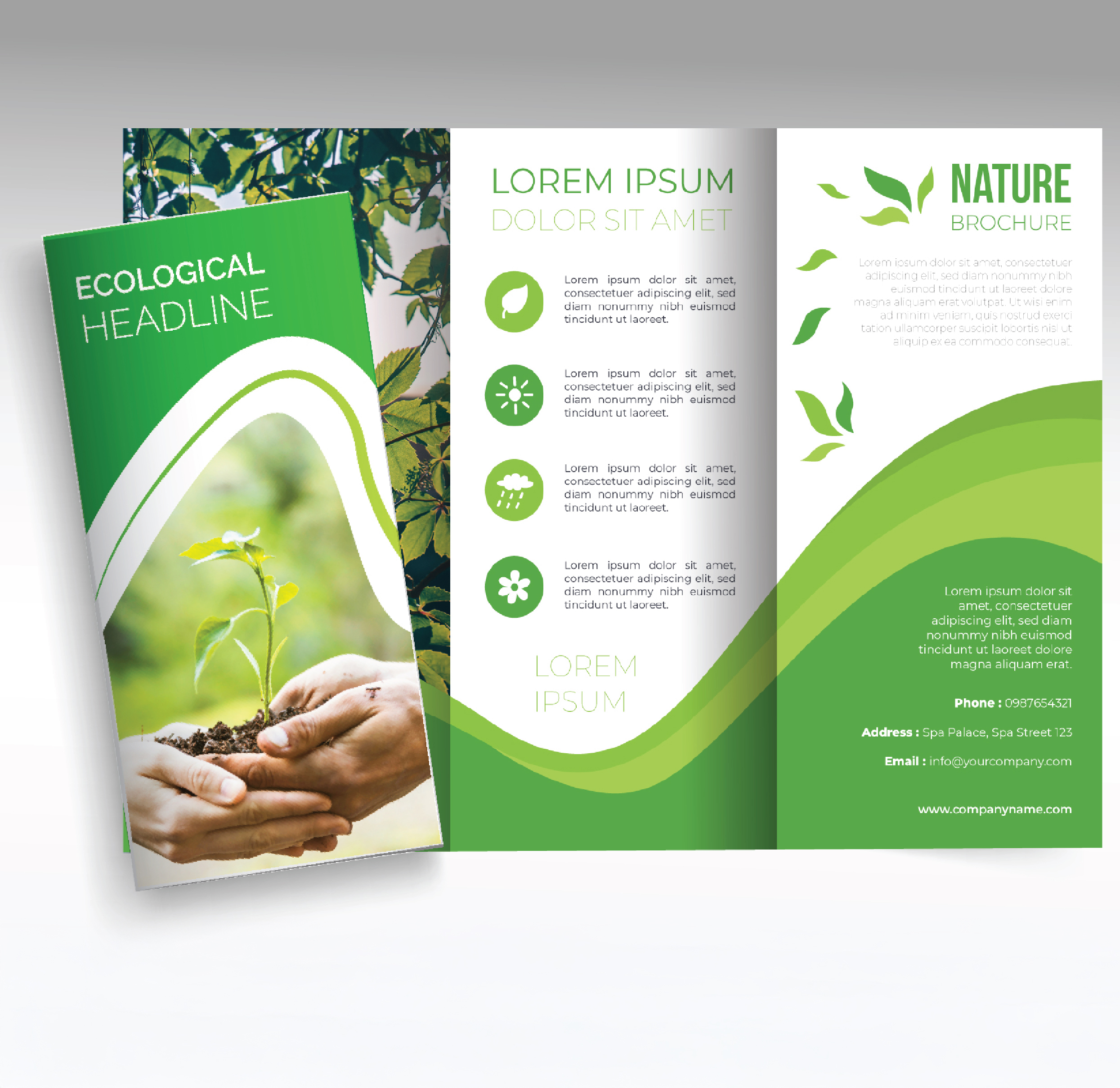 Folded Brochures (Matte Coated)