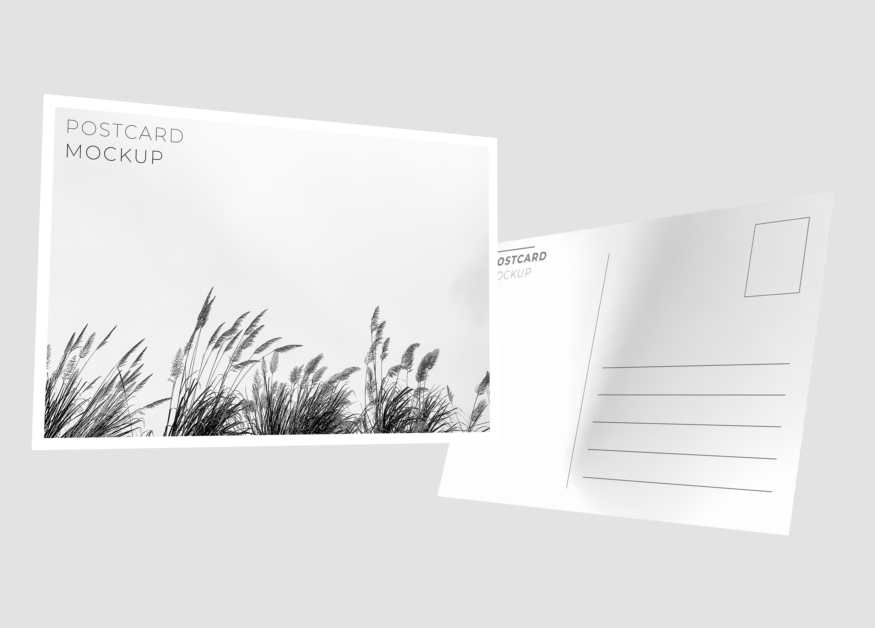Eco Uncoated Postcards