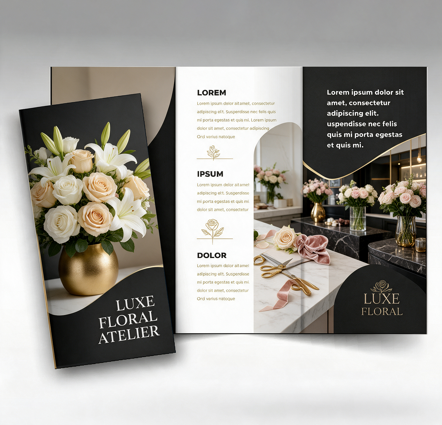Brochures