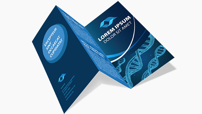 Brochure-fold