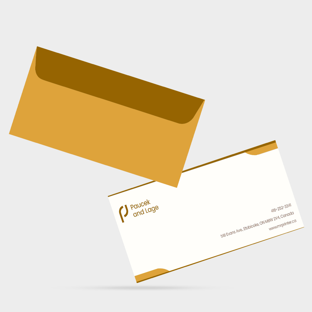 https://d241k1re3tsyhu.cloudfront.net/mrsignso/images/product/Printed_10_Envelopes.jpg