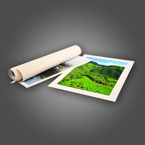 Canvas Prints