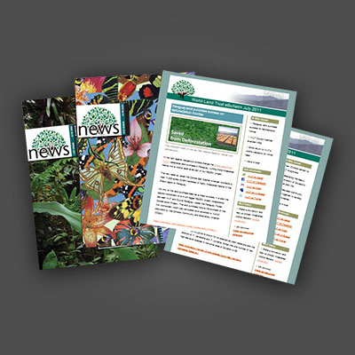 Newsletters