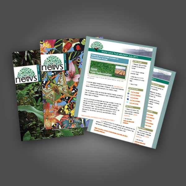 Newsletters 1