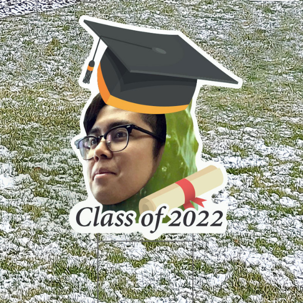 Personalized Graduation Face Cutout Yard Signs 1
