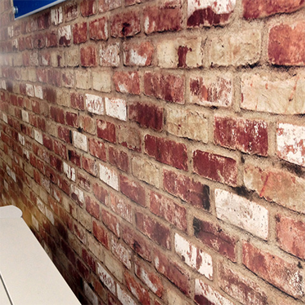 Vinyl Wall Decals
