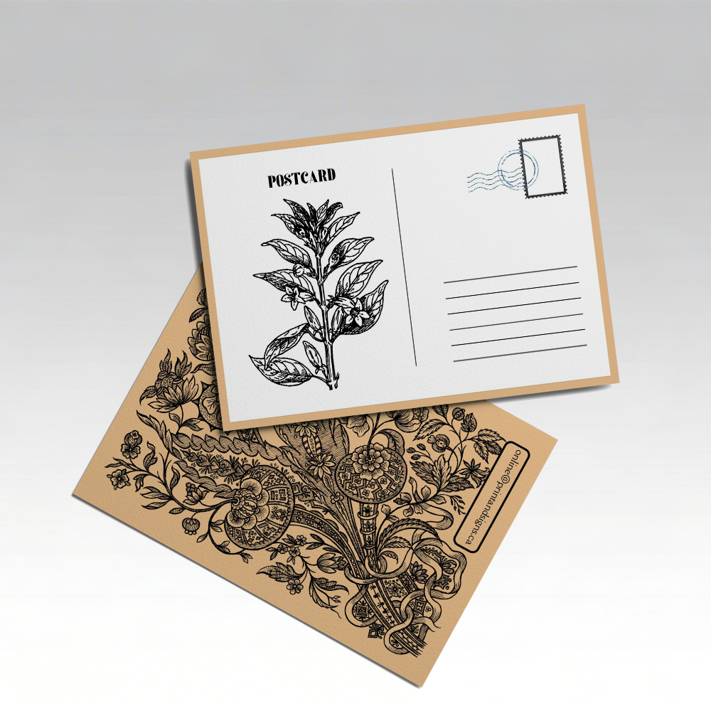 Matte Postcards_2