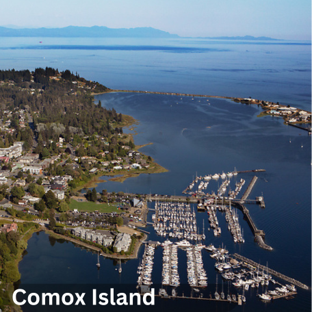 Victoria_Island__2__1736241316125.png