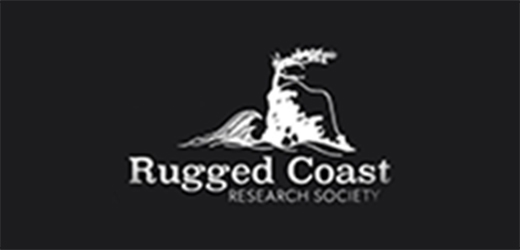 Rugged Coast