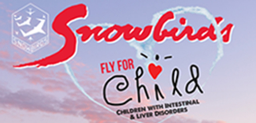 Snowbirds