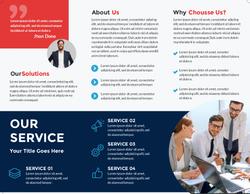 Trifold Brochure 3