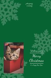 Christmas Card- 8.5x5.5 folded (Back&Front) - A14