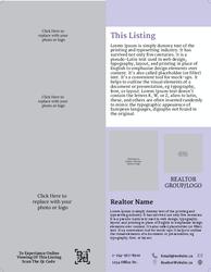 Flyer (R - 8)