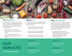 Brochure (R - 3)