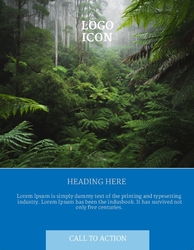 Flyer 1