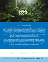 Flyer 1