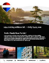 Flyer (Remax - 4)