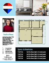 Flyer (Remax - 6)