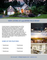 Flyer (Remax - 1)