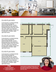 Flyer (Remax - 3)