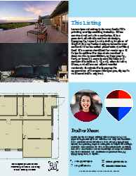 Flyer (Remax - 8)