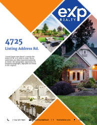 Flyer (EXP - 9)