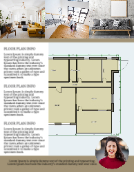 Flyer (Century 21 - 3)