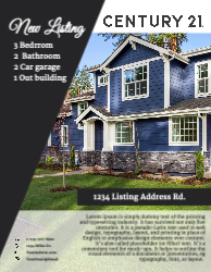 Flyer (Century 21 - 10)